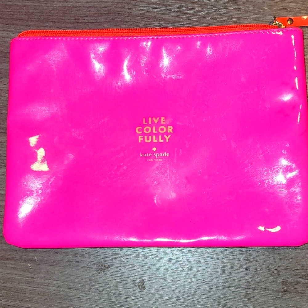 REALLY NEAT KATE SPADE ZIP BAG